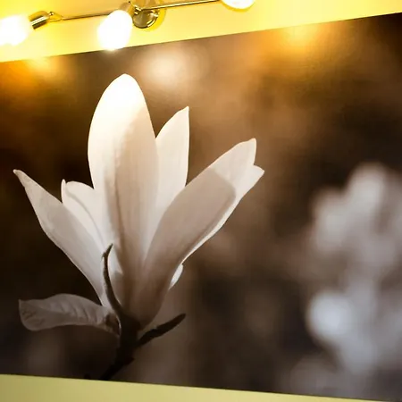 Κατάλυμα σε φάρμα Agriturismo Ai Guiet *