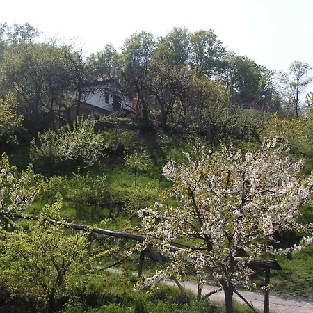 Agriturismo Ai Guiet *