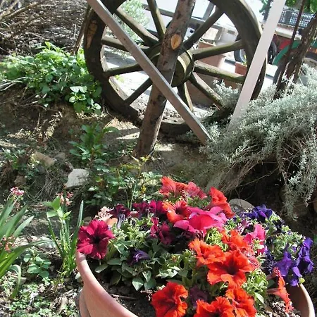 Alloggio per agriturismo Agriturismo Ai Guiet Superga
