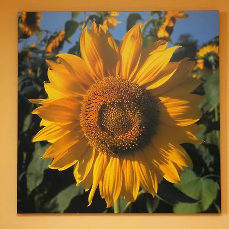 Agriturismo Ai Guiet Κατάλυμα σε φάρμα Superga