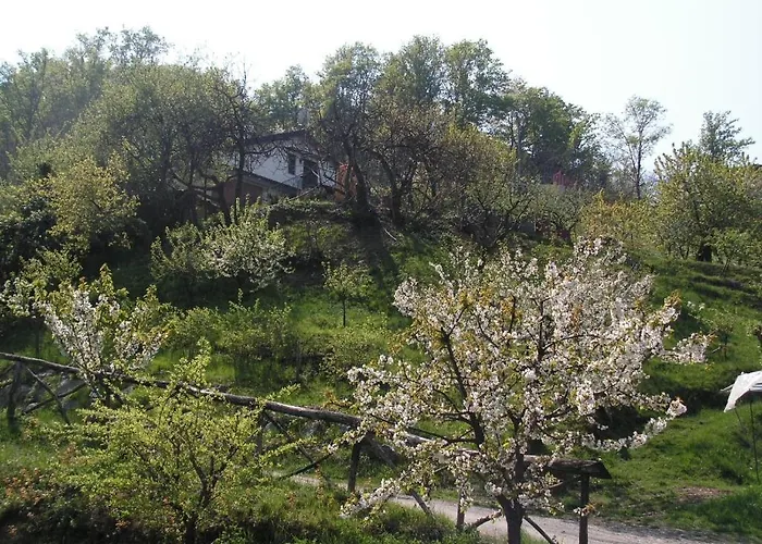 Agriturismo Ai Guiet *