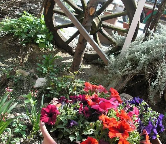 Agroturismo Agriturismo Ai Guiet Superga