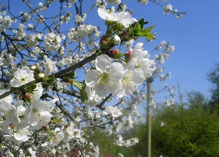 Agroturismo Agriturismo Ai Guiet *